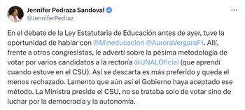 La representante Jennifer Pedraza atribuyó