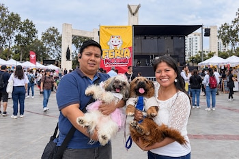 Las campañas gratuitas para mascotas buscarán concientizar sobre el abandono animal durante la Feria Fortuna