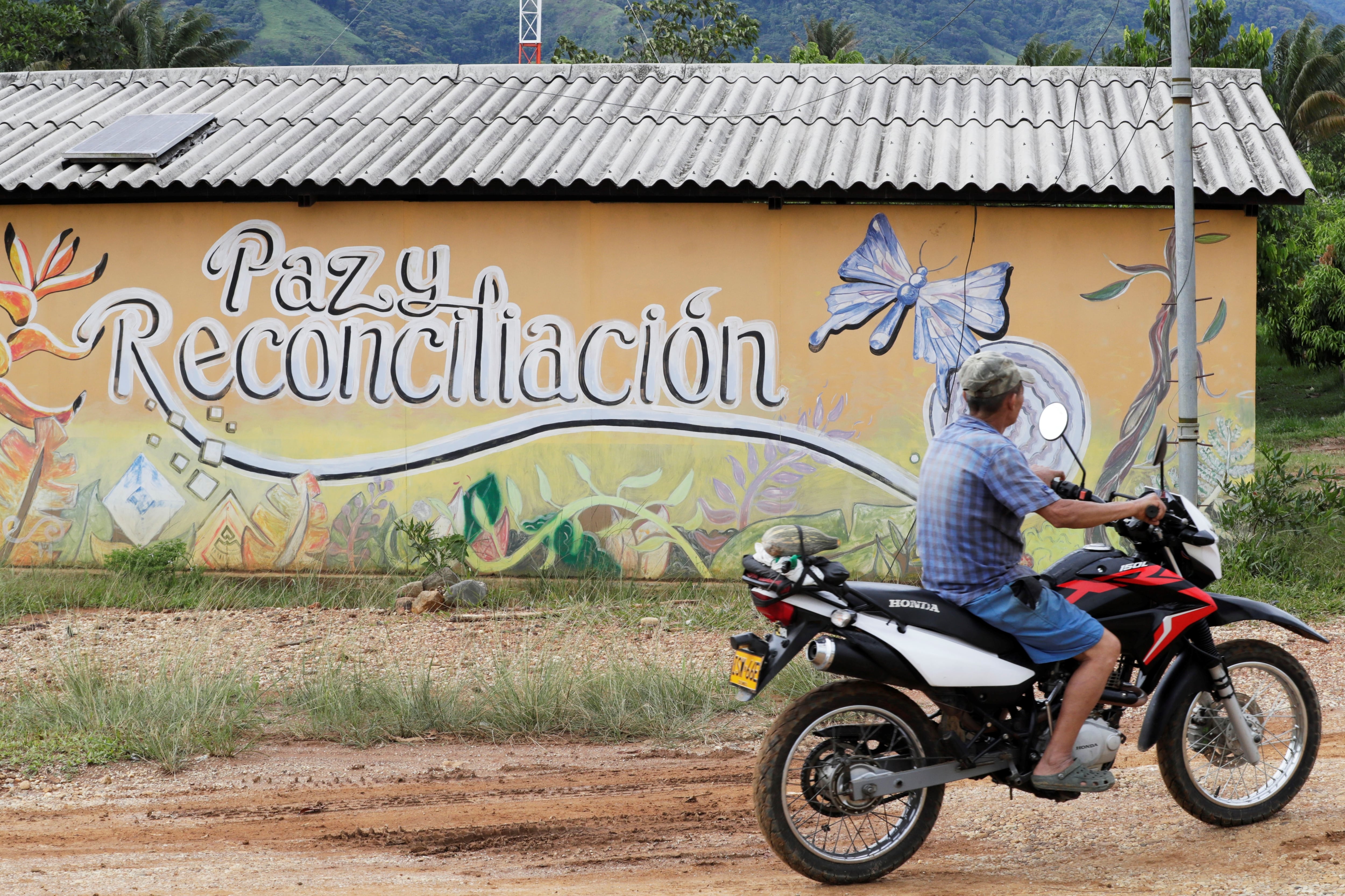 Para acceder a estas zonas, los firmantes de paz deberán cumplir una serie de requisitos propuestos por el Gobierno nacional - crédito Carlos Ortega/EFE