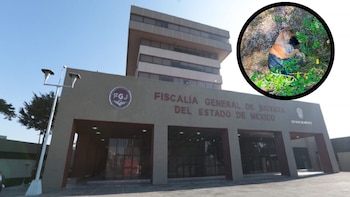 Fiscalía del Edomex investiga la muerte de 12 perros encontrados en Naucalpan: Alcalde señala que pudieron ser usados en peleas clandestinas