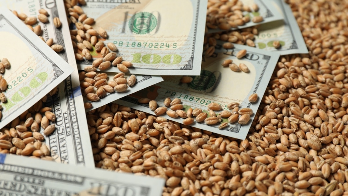 El aporte de dólares de la agroexportación podría caer hasta 80% en los dos últimos meses del año, estimó una consultora - Infobae
