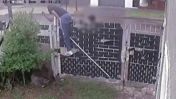 El delincuente trepó la reja