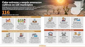 Infografía con un mapa de Guatemala, tierra agrietada, plantas secas y el sol. Contiene texto sobre calor extremo, sequía, municipios afectados y daños.