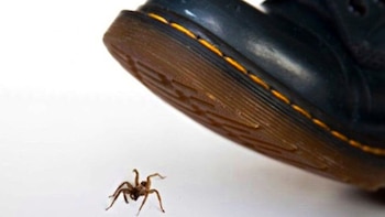 Conoce cuál es motivo por