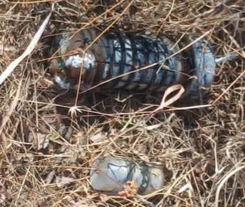 Los trabajos de reconocimiento se