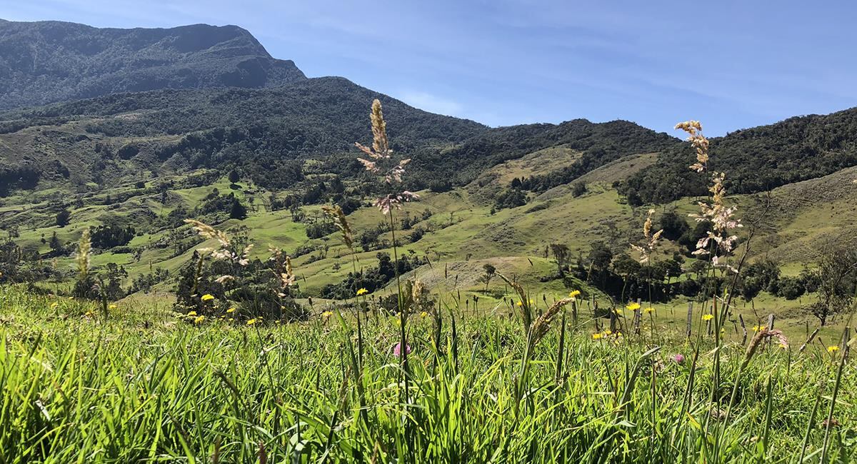 A lo largo de los años, ha recibido diversos apodos que reflejan su importancia cultural y social - crédito @joyasdesantander / IG