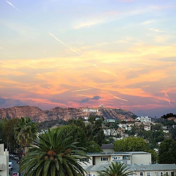 El famoso cartel de Los