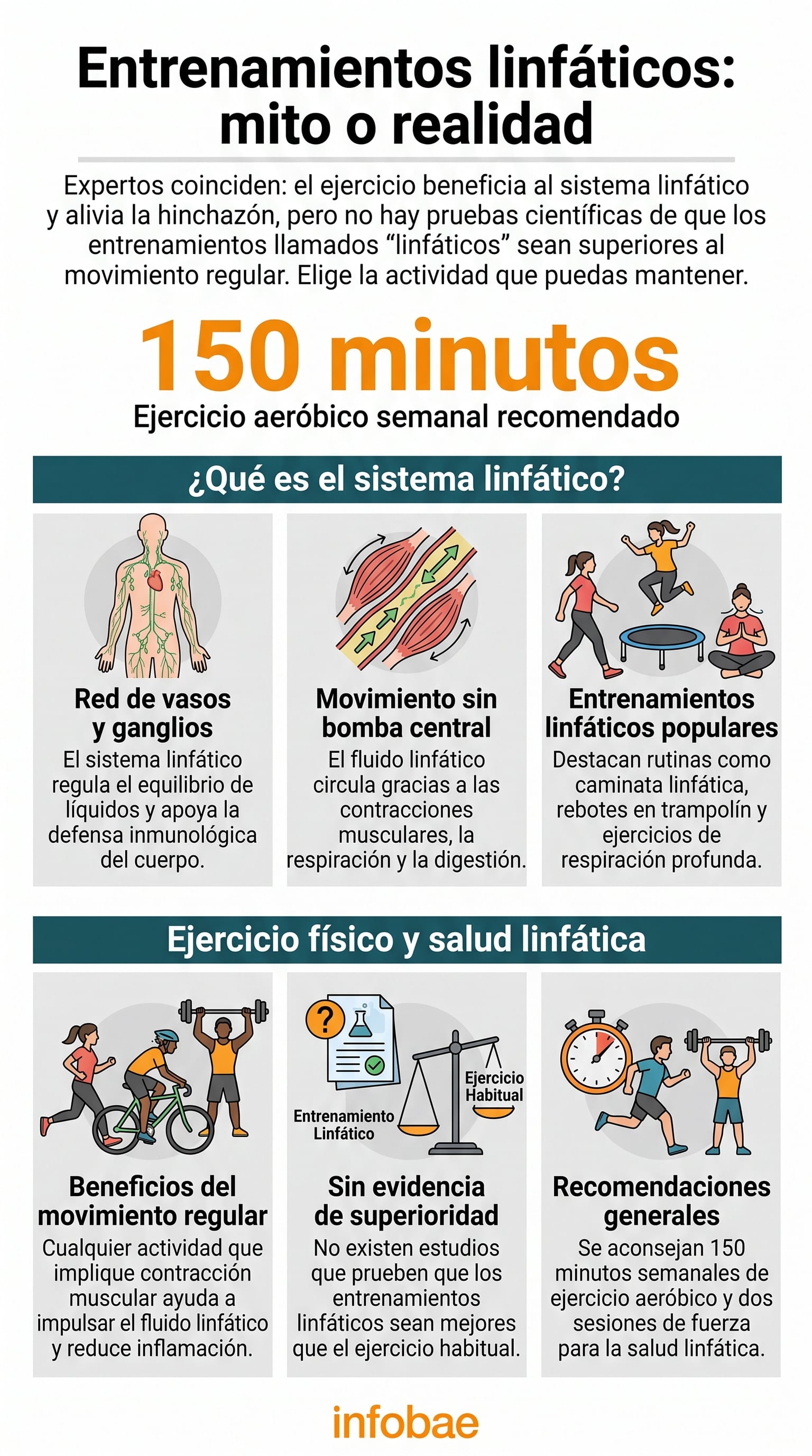 Una infografía de Infobae detalla que el ejercicio físico regular beneficia al sistema linfático y recomienda 150 minutos semanales de actividad aeróbica (Imagen Ilustrativa Infobae)