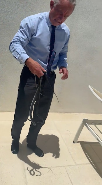 Hombre vestido de camisa azul y corbata sujetando una serpiente oscura con las manos en un patio. Se ve su sombra y la de la serpiente en el suelo