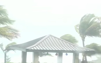 Palmeras con hojas dobladas por el viento, una glorieta de techo metálico y cielo cubierto