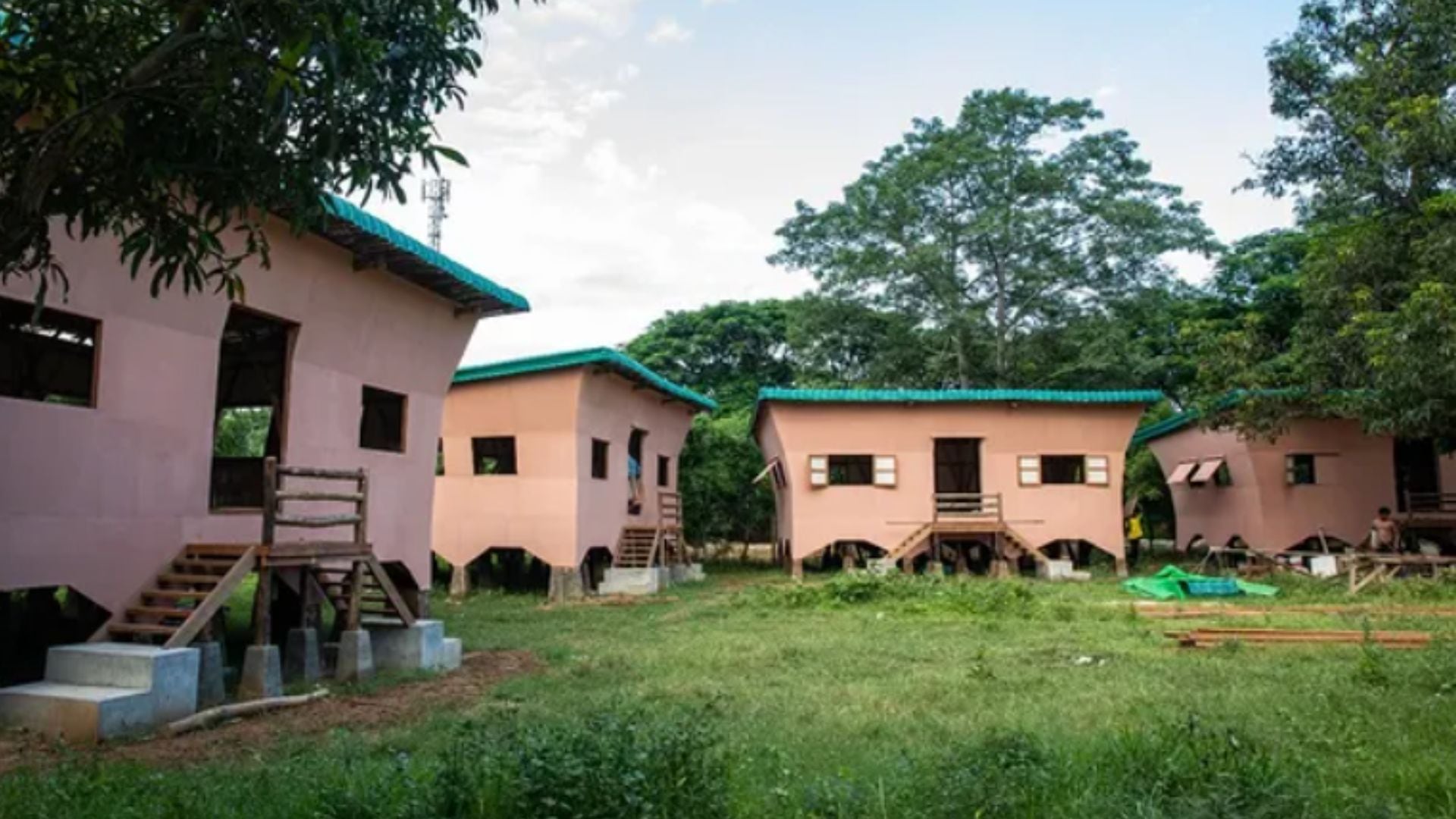 Conjunto de casas de bambú levantadas con el sistema modular Housing Now, diseñado para construir refugios de bajo coste (@bluetempledesigns / Instagram)