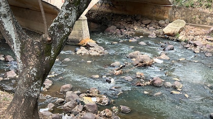 Detectaron mercurio en el cauce del río Cali: aclaran si el agua es segura para su consumo