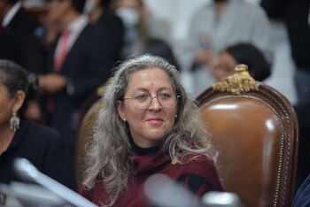 La diputada local por la