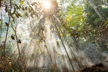 Los rayos del sol se