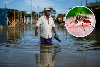 Un hombre camina por una calle inundada sosteniendo sus calzados y un recuadro circular muestra un mosquito sobre la piel.