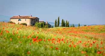 Casa en el campo (AdobeStock)