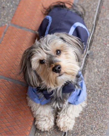 Siempre atento, Jordan Ignacio vigila