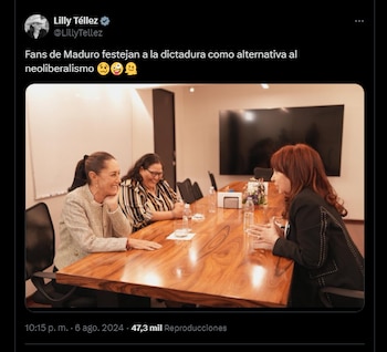 Así fue como Lilly Téllez