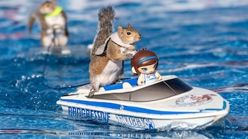 Twiggy aprendió a "esquiar" y