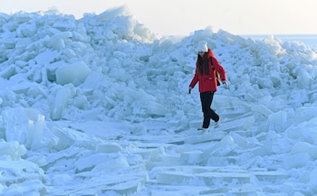 La investigación abre posibilidades para