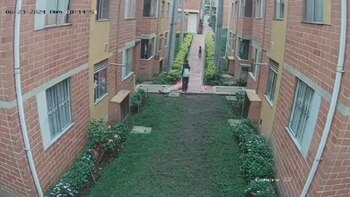 Un perro embistió a una