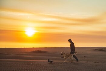 Su historia inspiró la creación