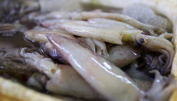 Exportaciones pesqueras récord