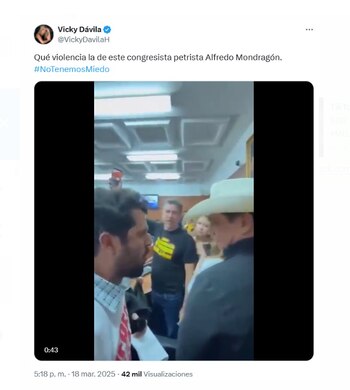 La periodista y precandidata presidencial