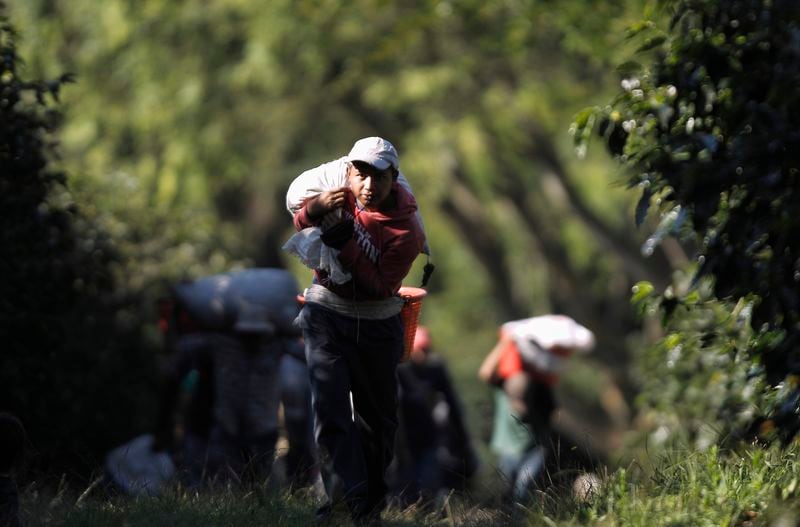 Las autoridades advirtieron sobre posibles impactos en abastecimiento de agua, agricultura y generación eléctrica. REUTERS/Juan Carlos Ulate (COSTA RICA - Tags: AGRICULTURA Y NEGOCIOS)