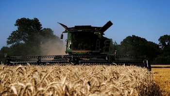 Buenas noticias y otras no