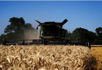Momento complicado. La irrupción de