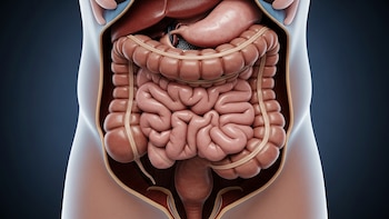 Cuando el estreñimiento se convierte en emergencia: qué es el megacolon y cómo se trata