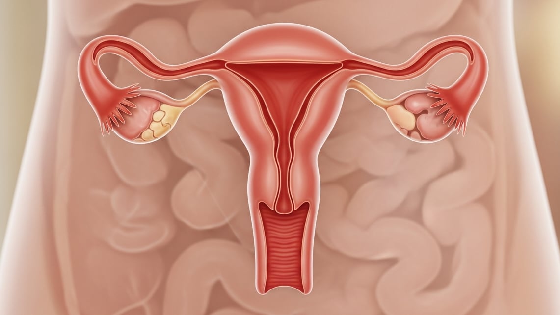 Mayo Clinic advirtió que los cánceres ginecológicos pueden presentar síntomas que se confunden con cambios hormonales, digestivos o urinarios (Imagen Ilustrativa Infobae)