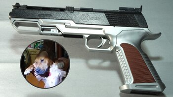 Frida, perrita herida con arma de fuego