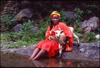 Rita Marley fue herida en