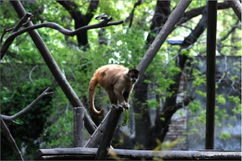 El Parque Villa Dolores de