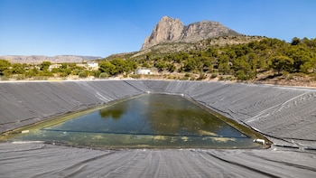 Exigen al Gobierno que apruebe medidas de seguridad urgentes para las balsas de riego: “Son trampas mortales para la fauna y las personas”