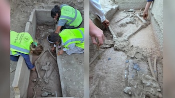 Imágenes de una excavación arqueológica con restos óseos humanos, monedas, y vasijas. Varias personas utilizan herramientas para limpiar el sitio