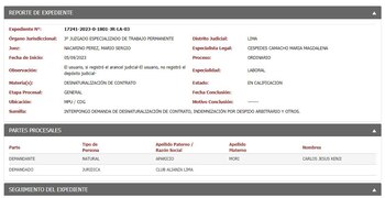 Esta es la demanda que