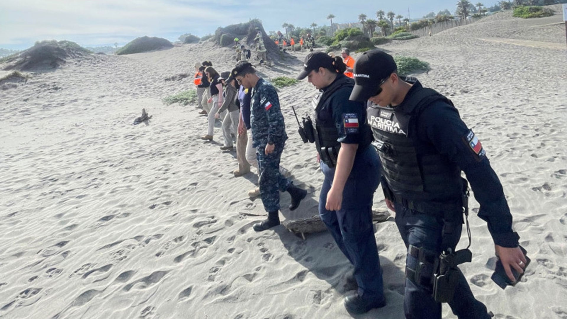 La zona está poblada de dunas y