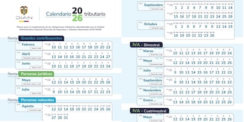 Obligaciones como la declaración anual