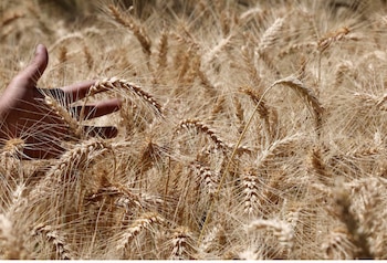 Combo virtuoso. Los rindes han