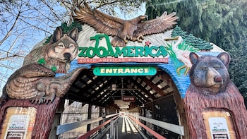 Padres enfrentan cargos por negligencia después de que un lobo hiriera a su bebé de 17 meses en un zoológico de Pensilvania