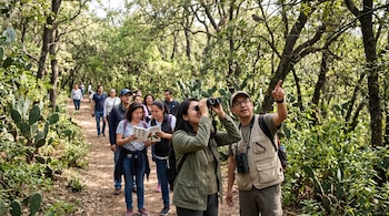 Personas caminan por un sendero arbolado con nopales; una mujer usa binoculares mientras un hombre señala aves en las ramas.