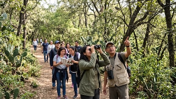 Festival Plumas Migratorias llega a CDMX: habrá observación de aves, talleres y charlas