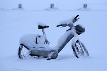 Una bicicleta cubierta de gaviotas