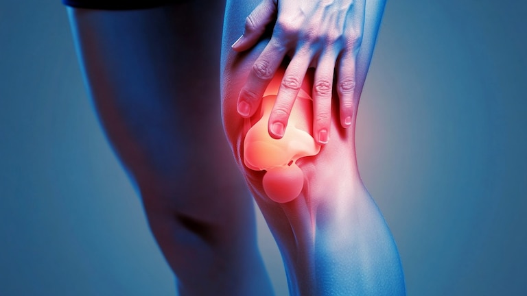 Artrosis: científicos de Stanford lograron revertir el daño del cartílago y regenerar el tejido Artrosis: científicos de Stanford lograron revertir el daño del cartílago y regenerar el tejido