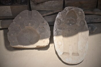 Museo de los Colli es