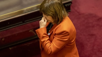 Senado: los aliados esperan reglas claras tras gestos incumplidos del Gobierno y se acumulan leyes hostiles