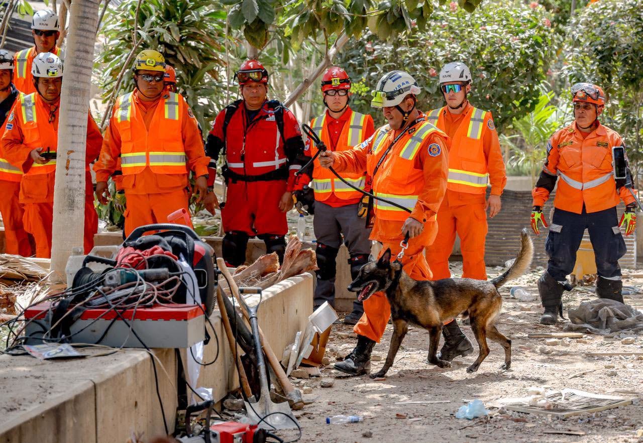 Cuando Rambo detectó una posible persona viva, ladró en el lugar y orientó la trufa hacia la dirección de la señal. (Cortesía: Voluntarios Salvadoreños)